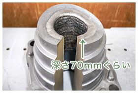 ʐ^F[70mm炢̓n